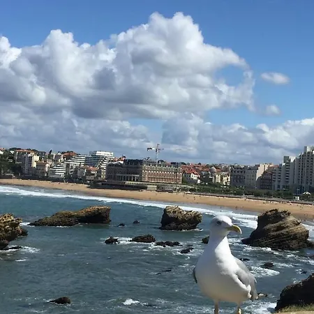 T2 Centre Biarritz